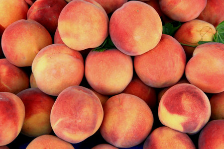 Photo of large juicy ripe sweet orange-pink peaches