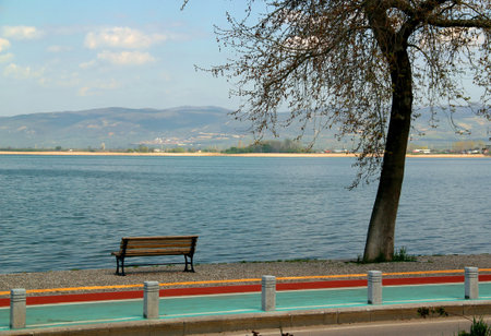 Landscape view of Lake Iznik and its embankment with bare trees in the foreground and a blue sky with clouds in the background plan in the city of Iznik, Turkeyの写真素材