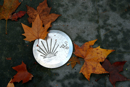 Pamplona, Spain - November 24, 2021: Photo showing an iron pilgrim's shell symbol embedded in asphalt and surrounded by fallen autumn leaves on a street in Pamplona, Navarra regionのeditorial素材