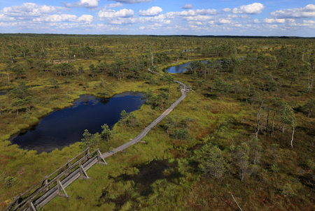 Aerial view of the landscape with the lakes and the swamps in Kemeru National Park near Jurmala, Latviaの写真素材