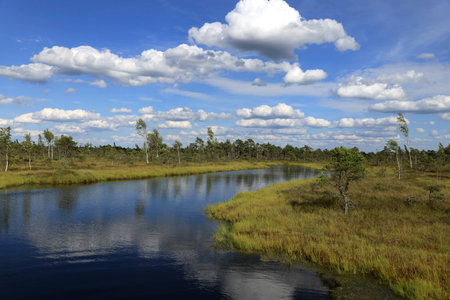 Landscape photo with a blue lake and a sky with clouds reflected in it in the swamps in Kemeru...