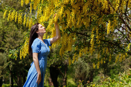 a woman in a blue dress near a blooming yellow tree in summerの写真素材