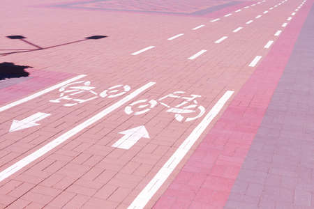 line markings in the park for cyclists. lines on the road. traffic rules