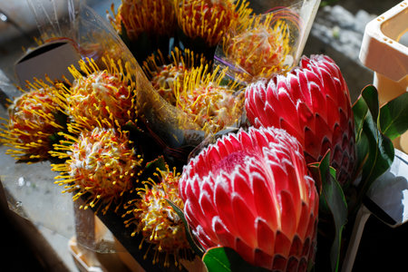 protea and Leucospermum on the marketの写真素材