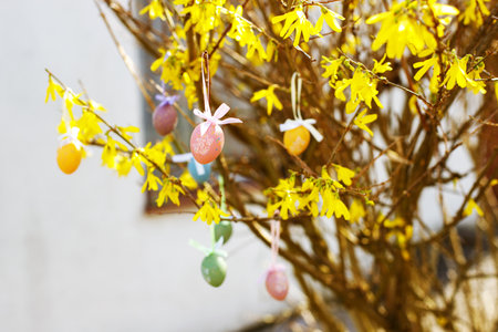 blossoming tree with plastic Easter eggs
