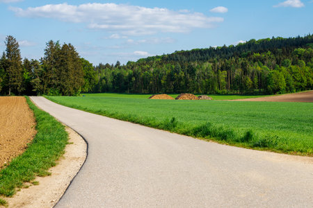 landscape bicycle hiking path through a field for walking