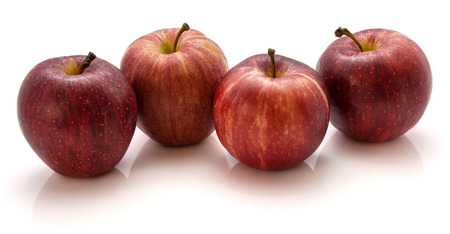 Four Gala apples isolated on white background
の写真素材