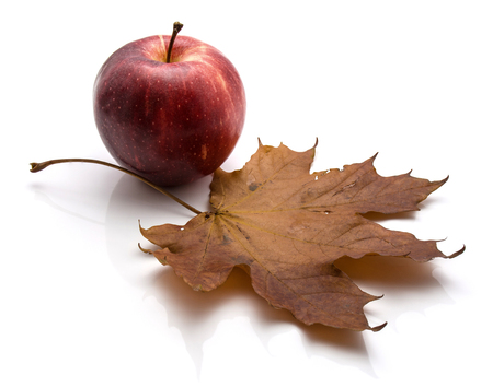 One whole Gala apple with maple leaf isolated on white background autumn composition
の写真素材