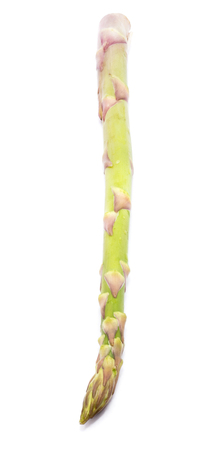 One raw asparagus isolated on white background
の写真素材