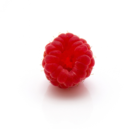 Red raspberry isolated on white background one whole
の写真素材