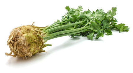 Fresh celery root with leaves isolated on white background one bulb close-up
の写真素材