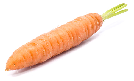 One fresh long orange carrot isolated on white background
の写真素材
