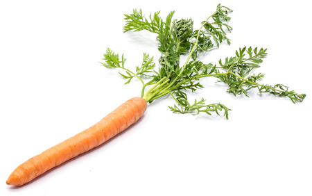 One fresh long orange carrot with green leaves isolated on white background
の写真素材