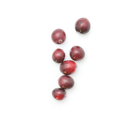 Cranberries line isolated on white background top viewの写真素材