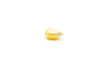 One fresh sweet corn kernel isolated on white background
の写真素材