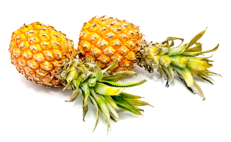 Two whole pineapples isolated on white background
の写真素材