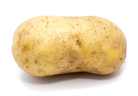 One whole potato isolated on white backgroundの写真素材