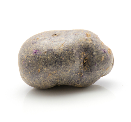 One vitelotte potato isolated on white background
の写真素材