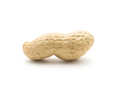 One unshelled peanut isolated on white background
の写真素材