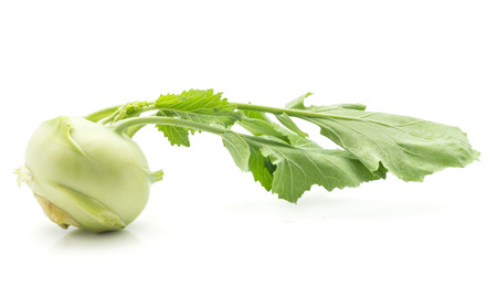 Kohlrabi (German turnip or turnip cabbage) with leaves isolated on white background one fresh bulb
の写真素材
