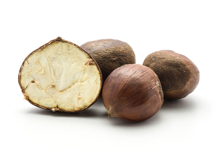 Three European chestnuts and one section half isolated on white background Spanish edible raw fresh brown nuts with creamy flesh
の写真素材