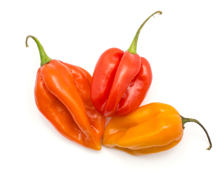 Three Habanero chili top view isolated on white background yellow orange red hot peppers
の写真素材