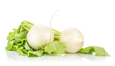 Two white radish bulbs with green leaves isolated on white backgroundの写真素材