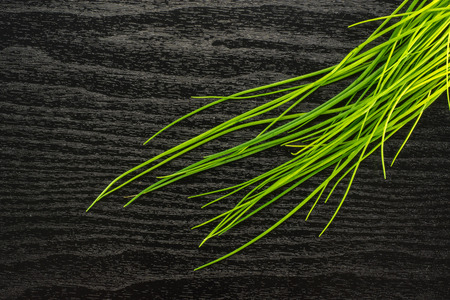 Fresh chives table top isolated on black wood background grass-like leavesの写真素材