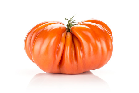 Beef tomato isolated on white background one big ripe red ribbing
の写真素材