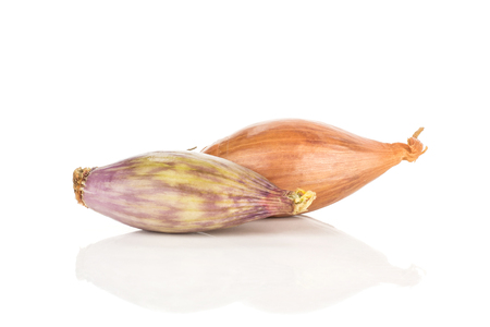 Two shallots isolated on white background comparing peeled and in a golden husk
の写真素材
