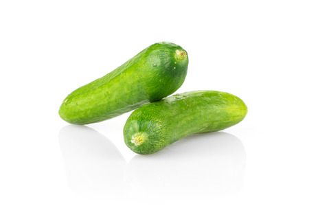 Two fresh mini cucumbers isolated on white backgroundの写真素材