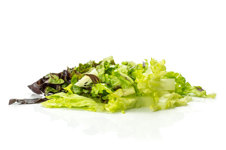 Fresh green lettuce red little gem variety chopped isolated on whiteの写真素材