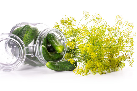 Lot of whole fresh yellow dill flowers and open glass jar full of cucumbers isolated on whiteの写真素材