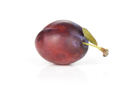 One whole fresh violet-blue plum vibrant moyer variety with a small leaf isolated on whiteの写真素材