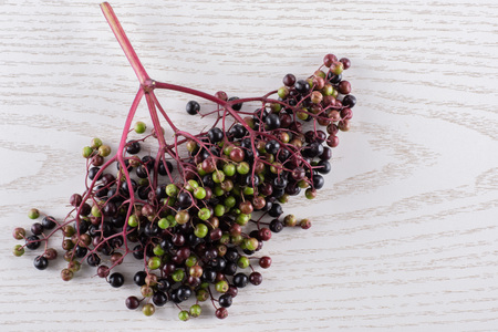 Lot of whole fresh european black elderberry one branch flatlay on grey woodの写真素材
