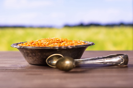Lot of whole raw red lentils and sugar tongs in old iron bowl with green wheat field in backgroundの写真素材