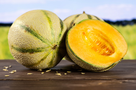 Group of one whole one half of fresh melon cantaloupe variety with seeds around with green wheat field in backgroundの写真素材