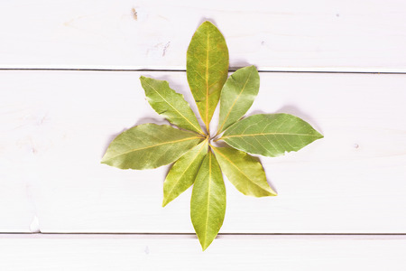 Group of eight whole dry olive green bay laurel leaves folded in a flower flatlay on white wood