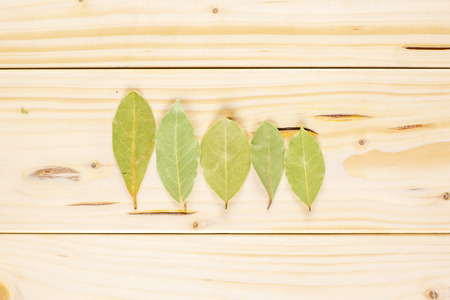 Group of five whole dry olive green bay laurel leaves flatlay on natural wood