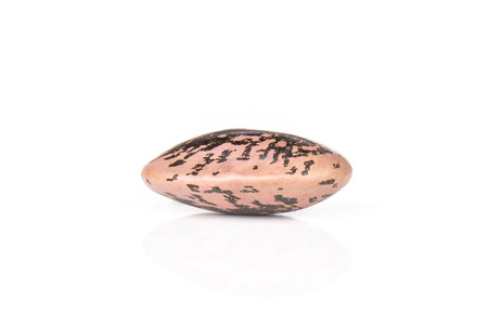 One whole raw speckled colored butter beans painted lady scarlet runner variety isolated on white...