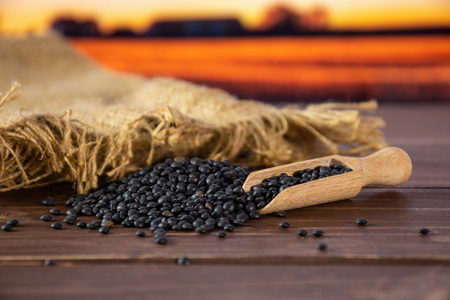 Lot of whole black lentils beluga variety jute with wooden scoop with autumn field and sunsetの写真素材