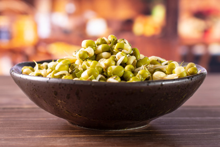 Lot of whole fresh green bean sprouts mungo in a grey ceramic bowl with rustic wood kitchen in...