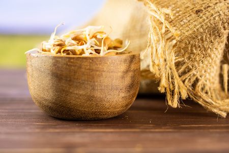 Lot of whole raw fresh yellow lentil sprouts with wooden bowl on jute cloth with green wheat field in backgroundの写真素材