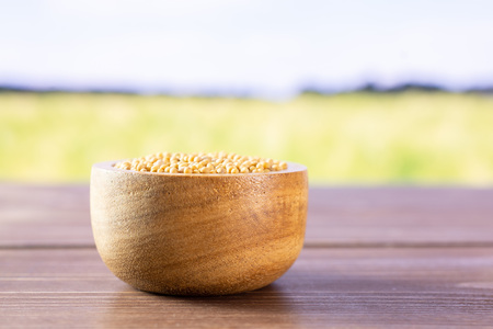 Lot of whole white mustard seeds with wooden bowl with green wheat field in backgroundの写真素材