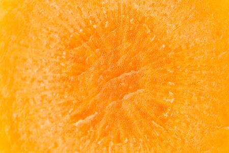 Macro closeup of one slice of fresh orange carrot isolatedの写真素材