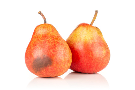 Group of two whole fresh red pear with a spot isolated on whiteの写真素材