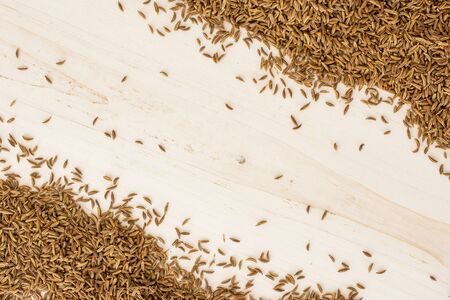 Lot of whole dry caraway fruits copyspace in the middle flatlay on white wood