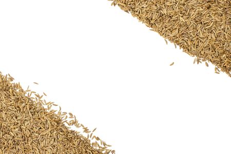 Lot of whole dry caraway fruits copyspace in the middle flatlay isolated on white backgroundの写真素材