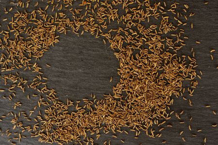 Lot of whole dry caraway fruits copyspace circle flatlay on grey stone