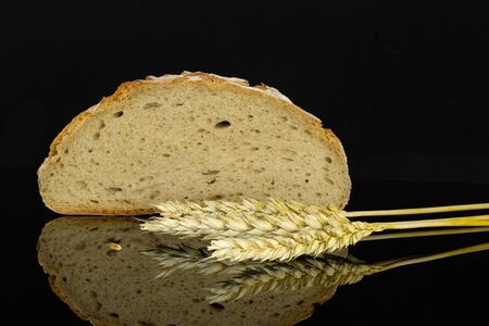 One cross section half of fresh baked rye wheat bread with three golden wheat ears isolated on black...
